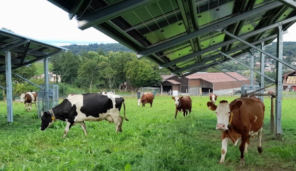 Voltalia Bovin Haute-Savoie