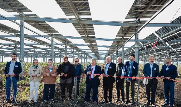 Sun'Agri La Domèque