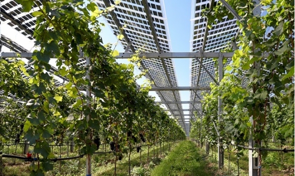 Agrivoltaïsme - Générique