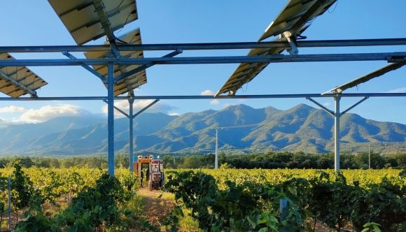 EnerVivo agrivoltaisme