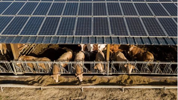 Agrivoltaïsme Vendée Les Echos