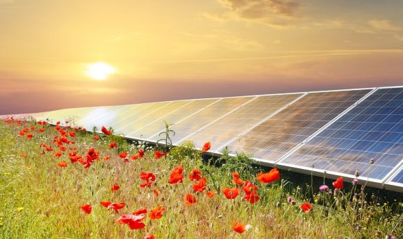 Générique Capteurs fleurs