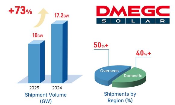 DMEGC-Releases-2024-Annual-Report-Revenue-of-€2