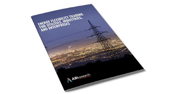 Global Energy Flexibility