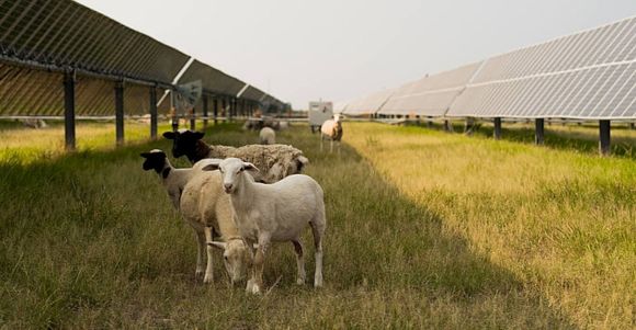 BayWa Thors et Thil 2