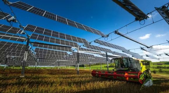 Agrivoltaïque Le Monde