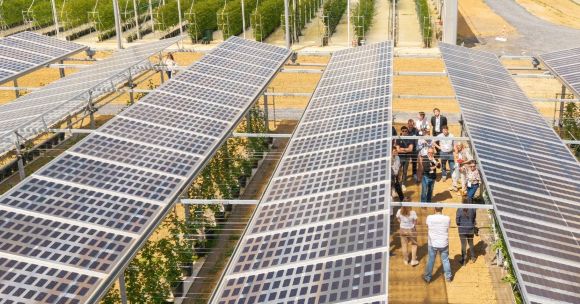 CAMPUS - Jordan Beaufrère