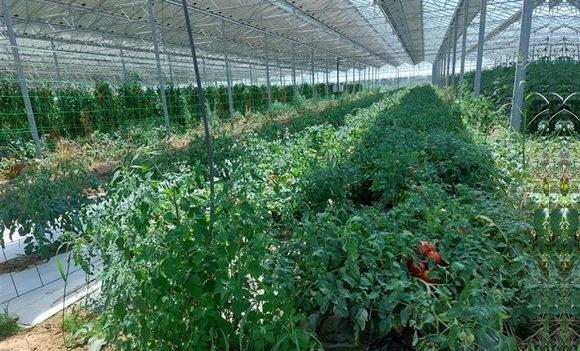 Reden Agri Occitanie