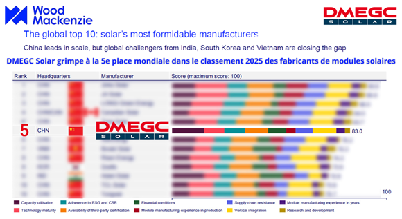 DMEGC Wood Mackenzie  2025 .06 