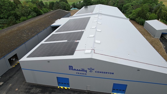 Voltissima Conservor Massily