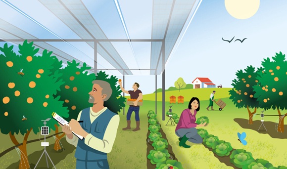 CNR agroécologie agrivoltaïsme CNR agroécologie agrivoltaïsme